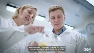 Plant-based proteins &ndash; Prioritize quality
