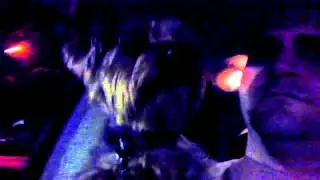 Yorkie cry's listening to seether broken
