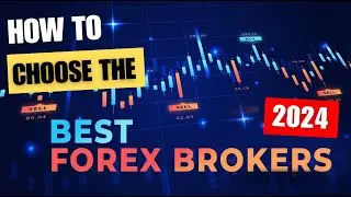 How to Choose the Best Forex Broker for 2024 - Expert Advice