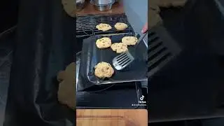 Baking cookies in my solar oven