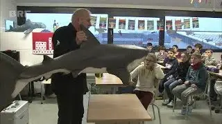 Sharkproject: 