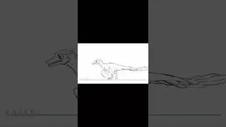 Archaeopteryx run cycle rough animation ✨ #2danimation #artwip