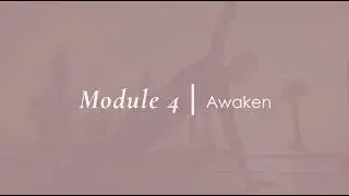 DSYFY Module 4 Training Video