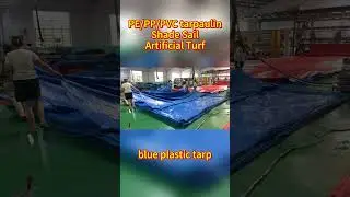 general purpose blue poly tarp