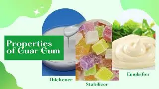 High Quality Guar Gum Powder for Benefits of Different Industries