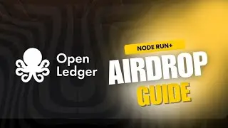 OpenLedger Airdrop Node Run Guide