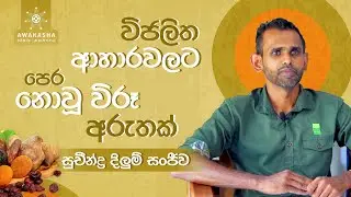 Nourishing the Future: A Tale of Eco-Friendly Food Production | Suchindra Dilum Sanjeewa