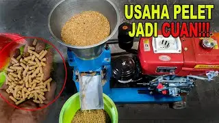 Mesin pelet pakan ternak || Mahkota MPM-150 B