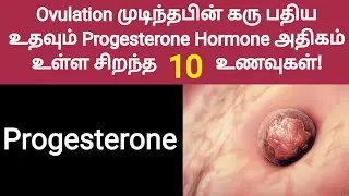 best progesterone foods for baby implantation in tamil | fast pregnancy tips tamil | after ovulation
