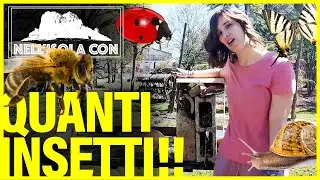 Come costruire un 