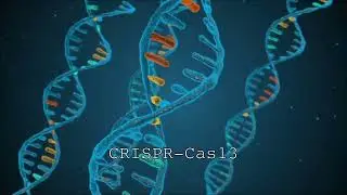 Breakthrough innovations in CRISPR technology are revolutionizing personalized medicine applications
