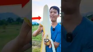 TOP 5 RAREST FRUITS THAT TASTE UNREAL 😱😲