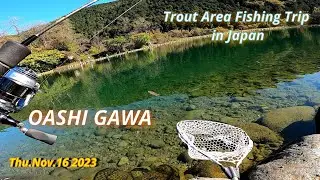 OASHI GAWA Nov.16 2023 / Trout Area Fishing Trip in Japan