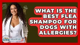 What Is The Best Flea Shampoo For Dogs With Allergies? - Ask A Pet Vet