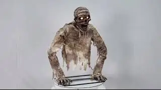 New for 2026 Lowes Mummy 
