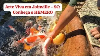 HEMERO in Joinville: Impressive Urban Art 🌺 March 2026