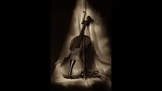 Vivaldi - Concerto for Violin and Organ in D minor, RV541