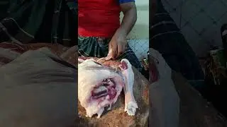 Best Goat Meat Cutting Full Video #meat #youtubeshorts #youtube #meatheritage #shorts  #food