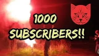 1000 Subscribers!!! | ADVENTURE KATZ