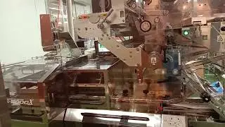 Okinawa 2019 - Manufacturing of Sweet Potato Biscuits 2