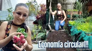 ECONOMÍA CIRCULAR!!! 