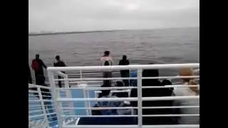 First time on a boat cruise!
