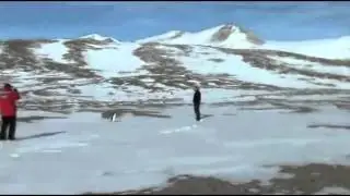 Existential Crisis of A Penguin - Werner Herzog