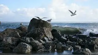 Damon Point in Ocean Shores WA