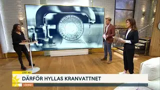 Sveriges godaste kranvatten: ”Varit runt i hela Sverige och testat” - Nyhetsmorgon (TV4)