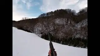 Duck shooting with Brittany in deep snow
