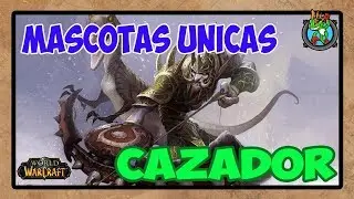 Mascotas UNICAS Cazador | World of Warcraft