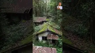 Lost to the Jungle We Explored an Abandoned Ghost Village #jungle&nbsp;#forgottenplaces&nbsp;#nature&nbsp;#shorts