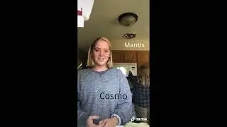 Guardians of the Galaxy as Memes / Vines / Tiktoks