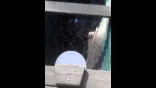 Bad Boys zerst�ren schiff