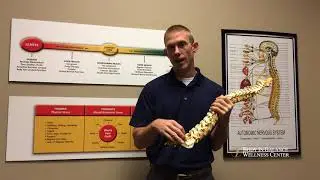 Golden CO Sciatica Pain - Stop Sciatica with Chiropractic Care