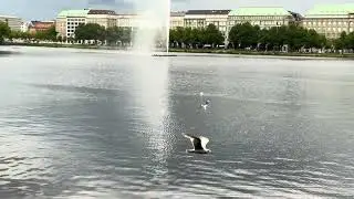Hamburg lake alster