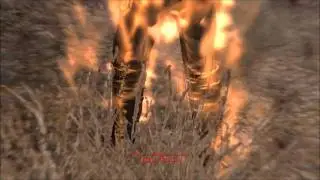 Incendiary Grenade - Fallout: New Vegas