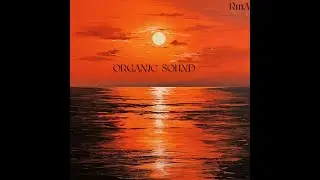 PURE ORGANIC SOUND HOUSE