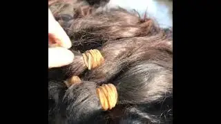 New Star Hair Factory Collecting Raw Human Hairs