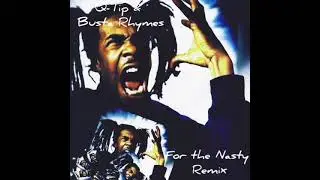 Busta Rhymes & Q-Tip - For the Nasty (Remix @Cunny-R)