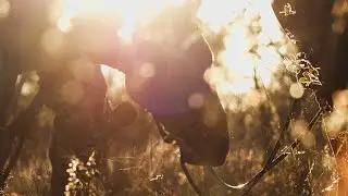 Ant Africa Safaris - Game Census