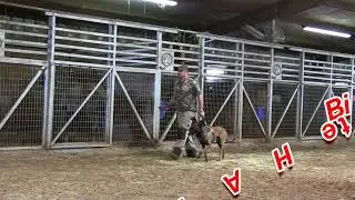 K9Pro Sports Trial!!!