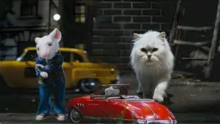 Stuart Little Washing Machine में फंस गया! 🐭 | Peter Rabbit क्या करेगा? 🤯