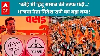 Maharashtra Politics: 'कोई भी हिंदू समाज की तरफ गंदी...' BJP नेता Nitesh Rane का बड़ा बया! |ABPLIVE