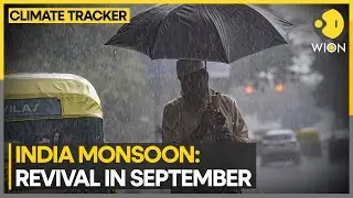 Assam floods affect over 400,000 people in 19 districts | WION Climate Tracker