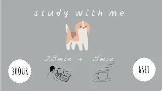 Lo-fi  Pomodoro Timer 25/5 ×6set(3h)｜with dog🐶 | focus with me｜作業用・勉強用BGM