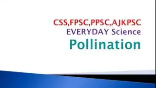 what is Water Pollination