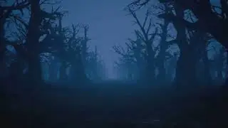 The Fog Trail &ndash; Vanished in the Great Smoky Mountains | Thriller and Horror