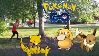 POKEMON GO ROAD TRIP!