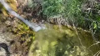 Tom at Harris Springs